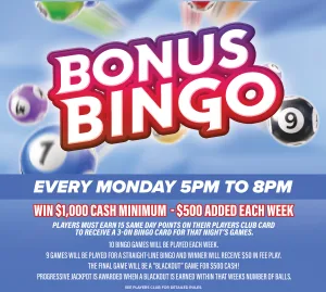 Bonus Bingo